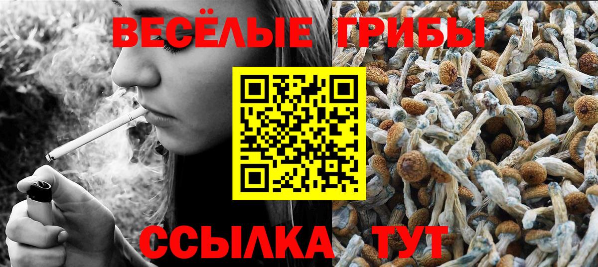 Галлюциногенные грибы Magic Shrooms  Вход с VPN  Тосно 